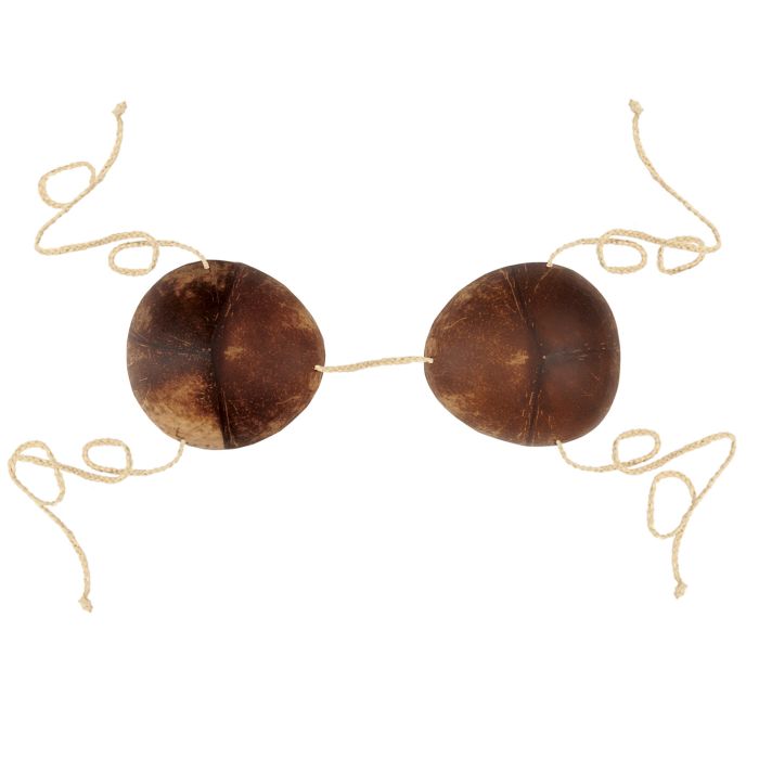 Novelty Coconut Bikini Top