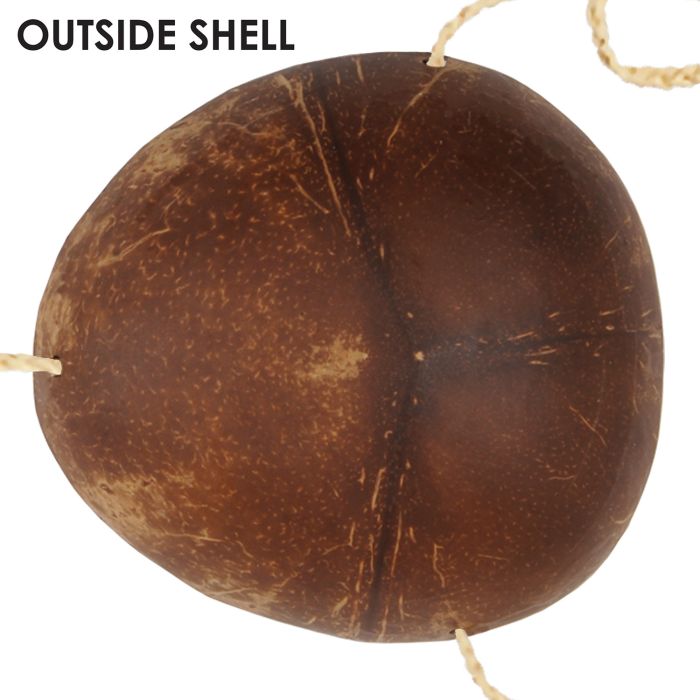 Novelty Coconut Bikini Top