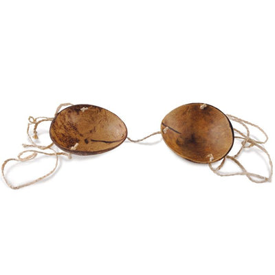 Novelty Coconut Bikini Top