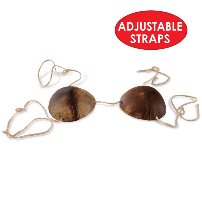 Novelty Coconut Bikini Top