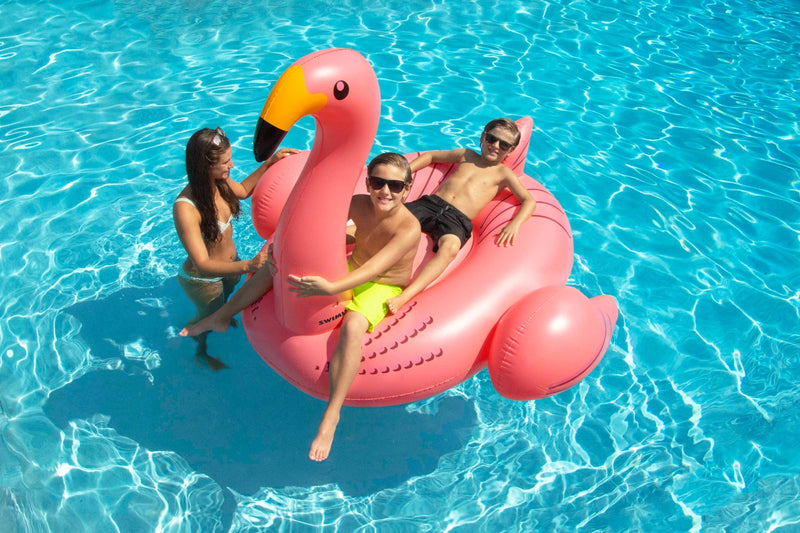 Flamingo Pool Float